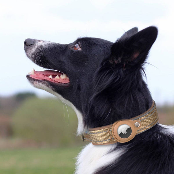 GeoPet - Anti-loss dog collar